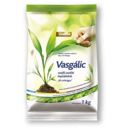 Vasgálic 1kg