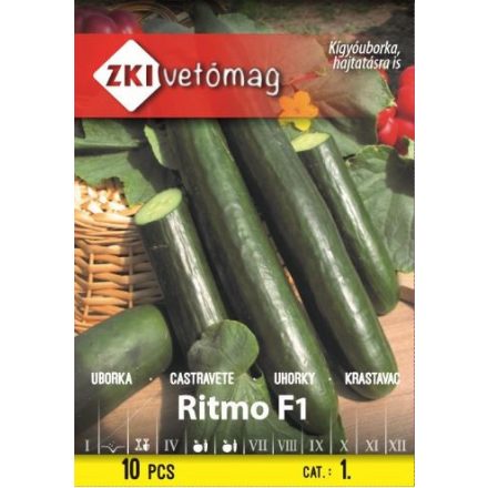 Vetőmag ZKI 1 Uborka - Ritmo F1 (10szem)