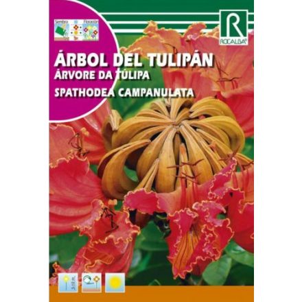 Vetőmag ROCALBA tulipánfa afrikai 0,5gr