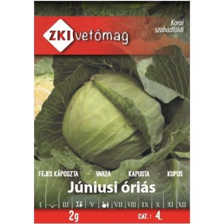 Vetőmag ZKI 4 Fejes Káposzta - Júniusi óriás 2gr