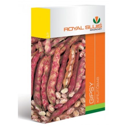 Vetőmag Royal Sluis 4 kifejtőbab - Gipsy 75GR