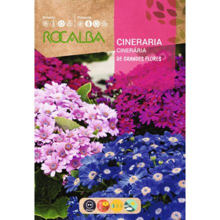 Vetőmag ROCALBA cinerária - kerti 0.05gr