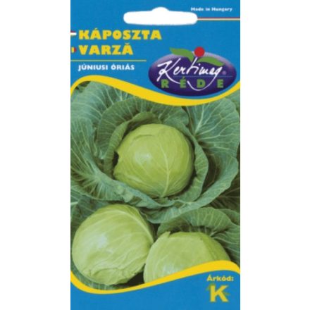 Vetőmag RÉDE K káposzta - Júniusi óriás 2gr