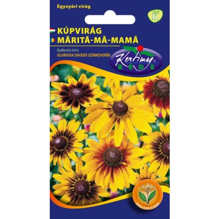 Vetőmag RÉDE K kúpvirág - Gloriosa daisies 0,5gr
