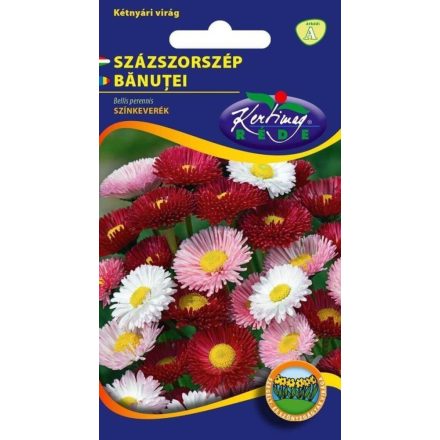 Vetőmag RÉDE A százszorszép szk. 1/8g