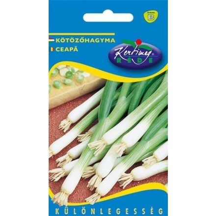 Vetőmag RÉDE B kötözőhagyma 0,4gr