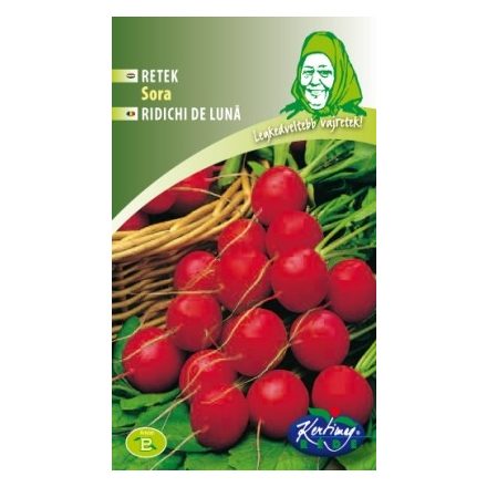 Vetőmag RÉDE B retek - sora 4gr
