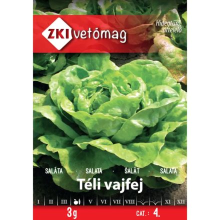Vetőmag ZKI 4 Saláta - Téli vajfej 3g 