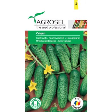 Vetőmag Agrosel PG2 uborka - Crisan 1,5 gr