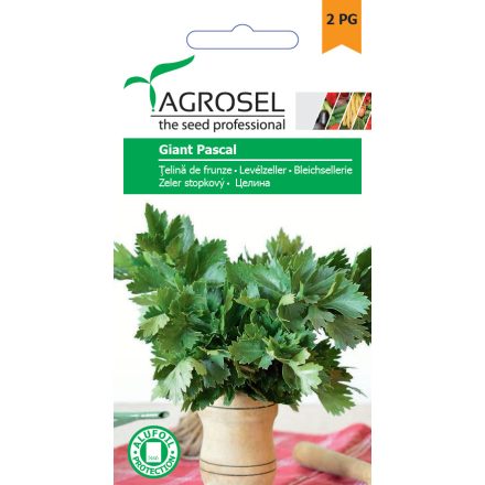 Vetőmag Agrosel PG2 levélzeller - Giant Pascal 2gr