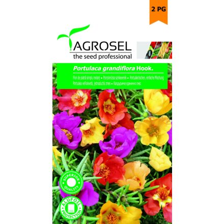 Vetőmag Agrosel PG2 porcsinrózsa - színkeverék 0,6gr