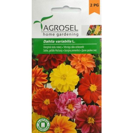 Vetőmag Agrosel PG2 dália - teltvirágú, színkeverék 1gr
