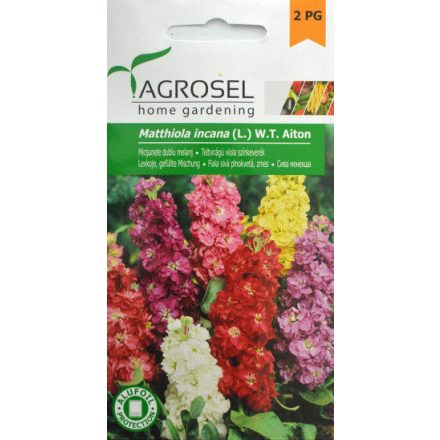 Vetőmag Agrosel PG2 viola - teltvirágú, színkeverék  0,75gr