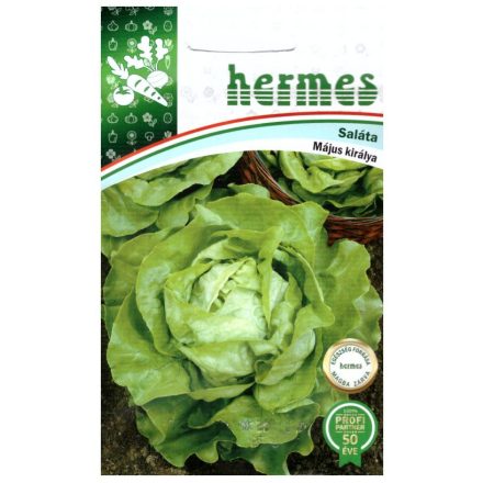 Vetőmag Hermes saláta - Május királya