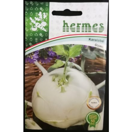Vetőmag Hermes karalábé - Gigant 