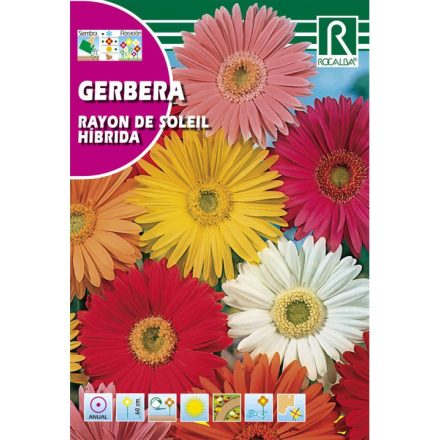 Vetőmag ROCALBA gerbera