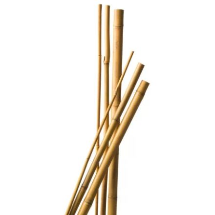 Bambuszkaró 10-12mm 120cm /3db-os