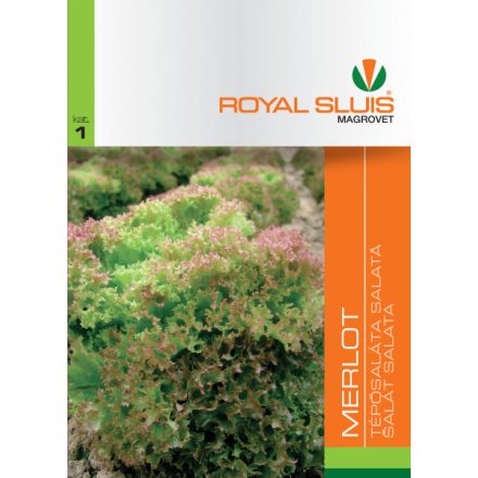 Vetőmag Royal Sluis 1 Tépösaláta Merlot 1.5g 