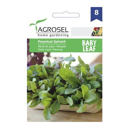 Vetőmag Agrosel PG8 mángold - Perpetual Spinach BABY LEAF 4gr