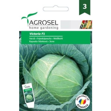 Vetőmag Agrosel PG3 káposzta - Victoria F1 80szem