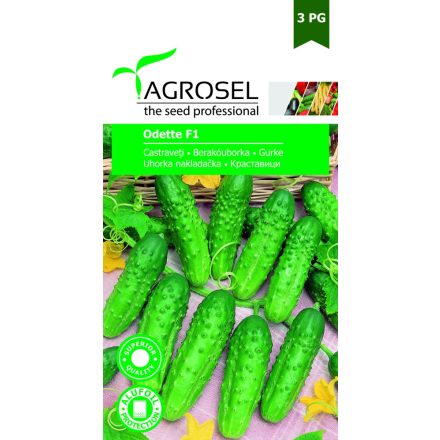 Vetőmag Agrosel pg3 uborka - Odette F1 20szem