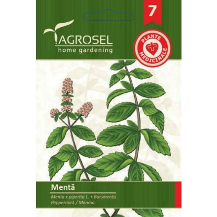 Vetőmag Agrosel PG7 borsmenta 0,2gr