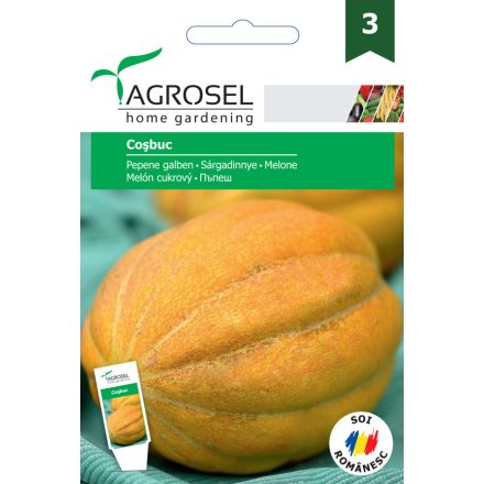 Vetőmag Agrosel PG3 sárgadinnye - Cosbuc 2gr