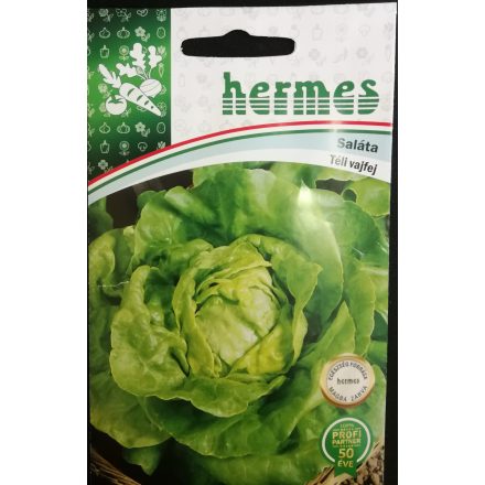 Vetőmag Hermes saláta - Téli vajfej 150mag