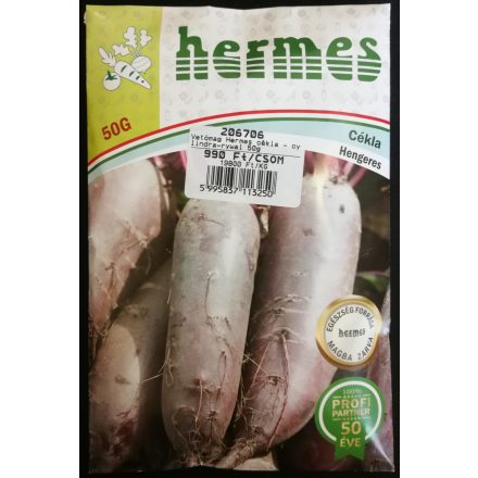 Vetőmag Hermes cékla - Cylindra-Rywal 50gr