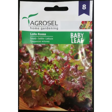 Vetőmag Agrosel PG8 saláta - Lollo Rossa BABY LEAF 5gr