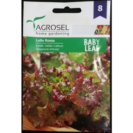 Vetőmag Agrosel PG8 saláta - Lollo Rossa BABY LEAF 5gr