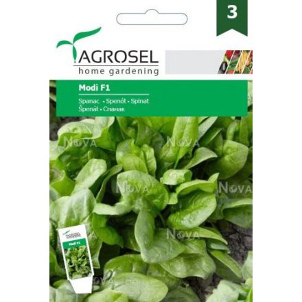 Vetőmag Agrosel PG3 spenót 3 gr - Modi F1 