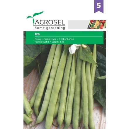Vetőmag Agrosel PG5 bab (zöldhüvelyű) - Iza 45gr